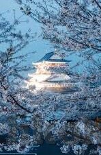 国产成人午夜91精品麻豆剧场-夜幕剧场，国产成人午夜91精品麻豆剧场的艺术探讨