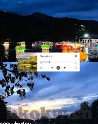 类似麻豆传媒的app-净土与迷雾，深度剖析网络色情APP的隐秘世界