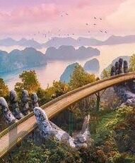 麻豆传煤官网app在线-散落在数字海洋的秘密花园，探索麻豆传媒的数字世界