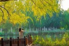 人妻久久久久久精品-探索人妻角色的多维度魅力，从久久久久久精品看家庭与自我成长的和谐共舞
